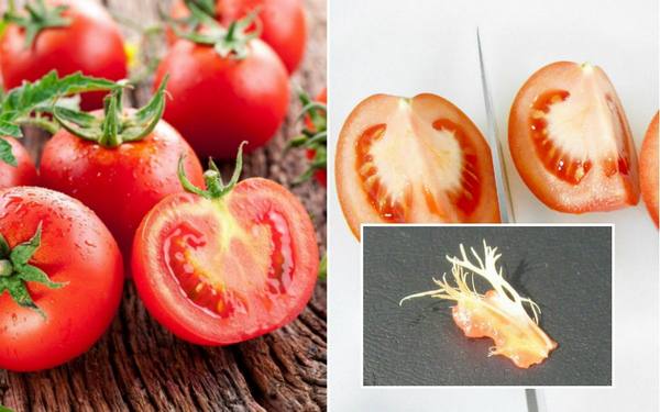 3 причины, почему помидоры вырастают с белыми прожилками внутри - фото
