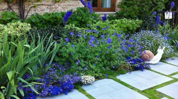 42 растения с синими цветками - фото