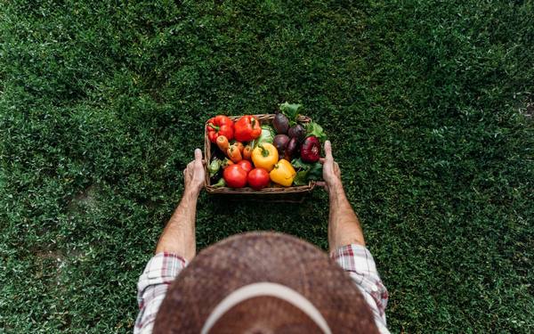 6 мифов об органическом земледелии, которые перевернут ваше представление о нем с фото