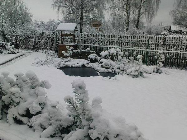 Азбука садового снегозадержания - фото