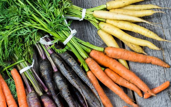 Какая бывает морковь  все о сортах и их использовании в кулинарии - фото
