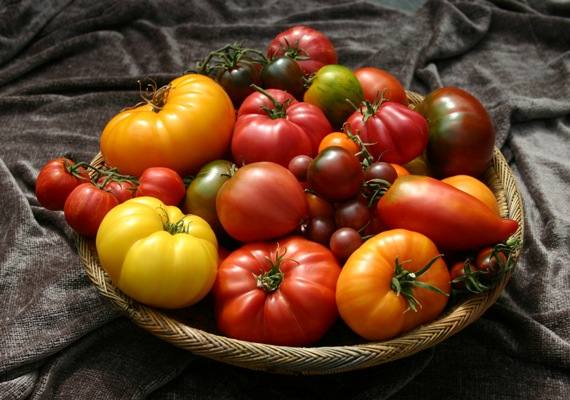 Какие сорта помидор самые урожайные для открытого грунта с фото