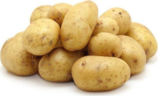 Описание картофеля гала с фото