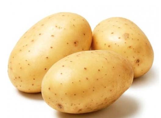 Сорт «Зекура» — картофель прошлого века, но стойкий и вкусный с фото