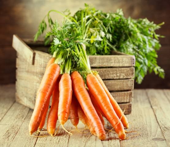 Правильный посев моркови — залог урожая - фото