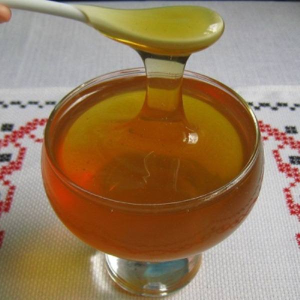 Полезные свойства и противопоказания кориандрового мёда - фото