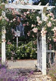 Пергола и столбы для роз с фото