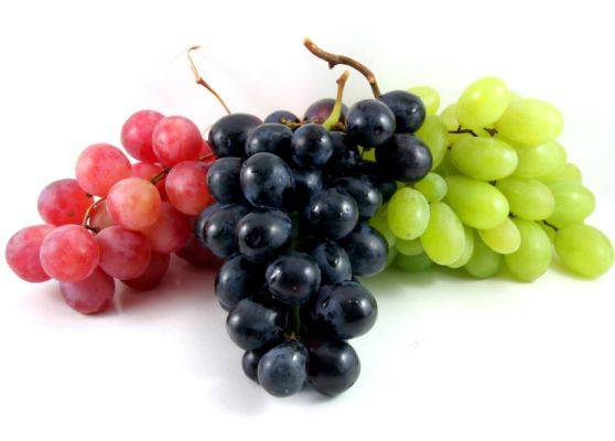 Лучшие сорта винограда в алфавитном порядке: выбираем, пробуем - фото