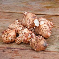 Топинамбур или земляная груша: особенности выращивания клубненосной культур ... - фото