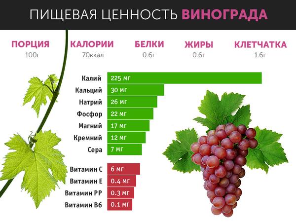 Какие витамины содержаться в винограде и можно ли давать его детям и береме ... - фото